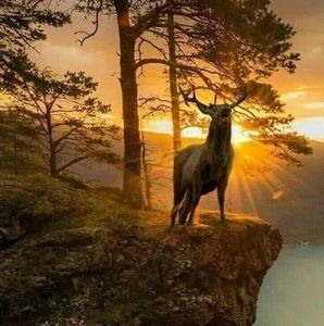 Meet your Posher, Austin